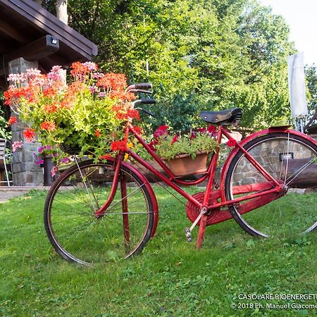 Il Casolare Bioenergetico Bed and Breakfast Albareto  Buitenkant foto