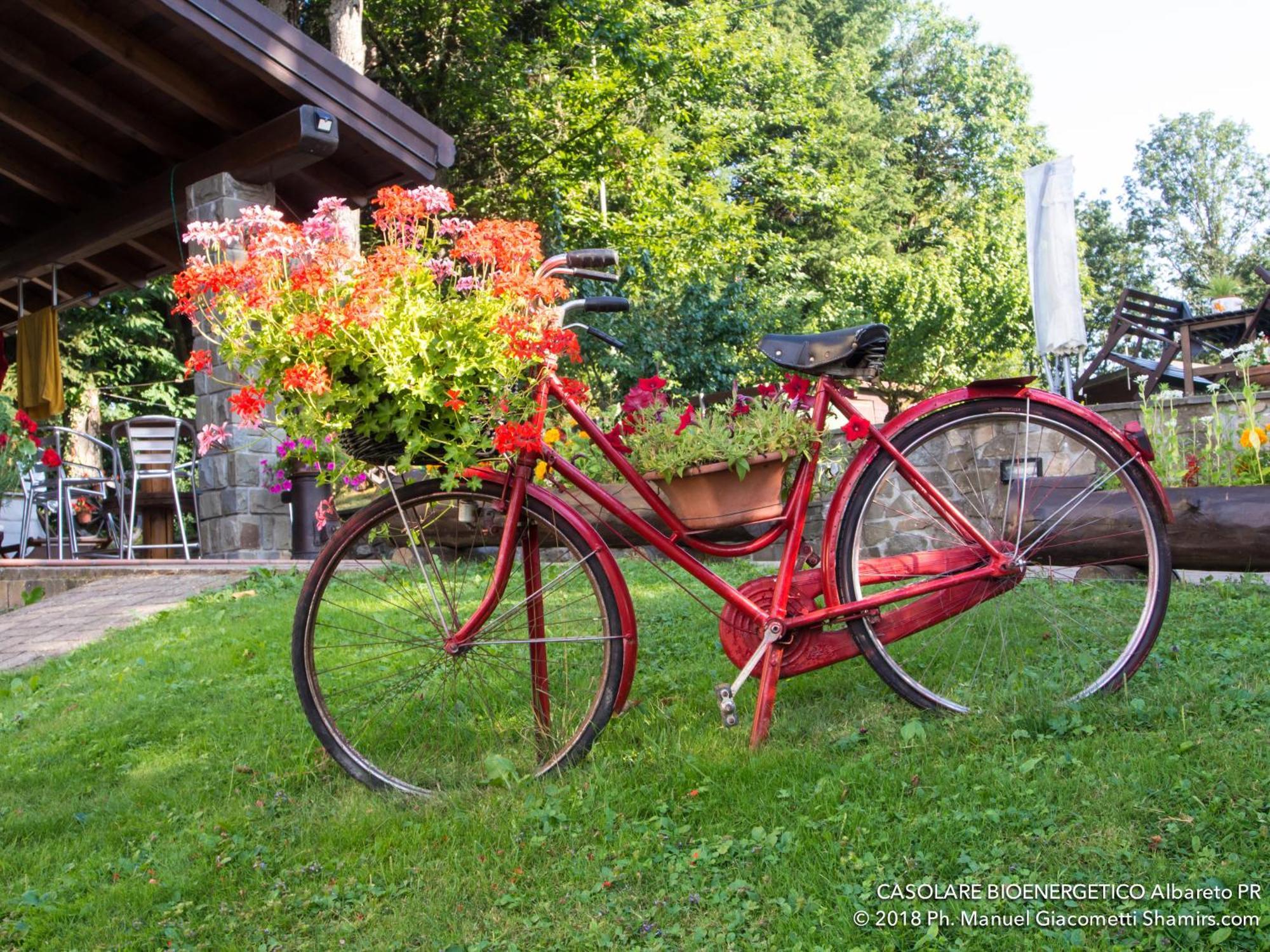 Il Casolare Bioenergetico Bed and Breakfast Albareto  Buitenkant foto
